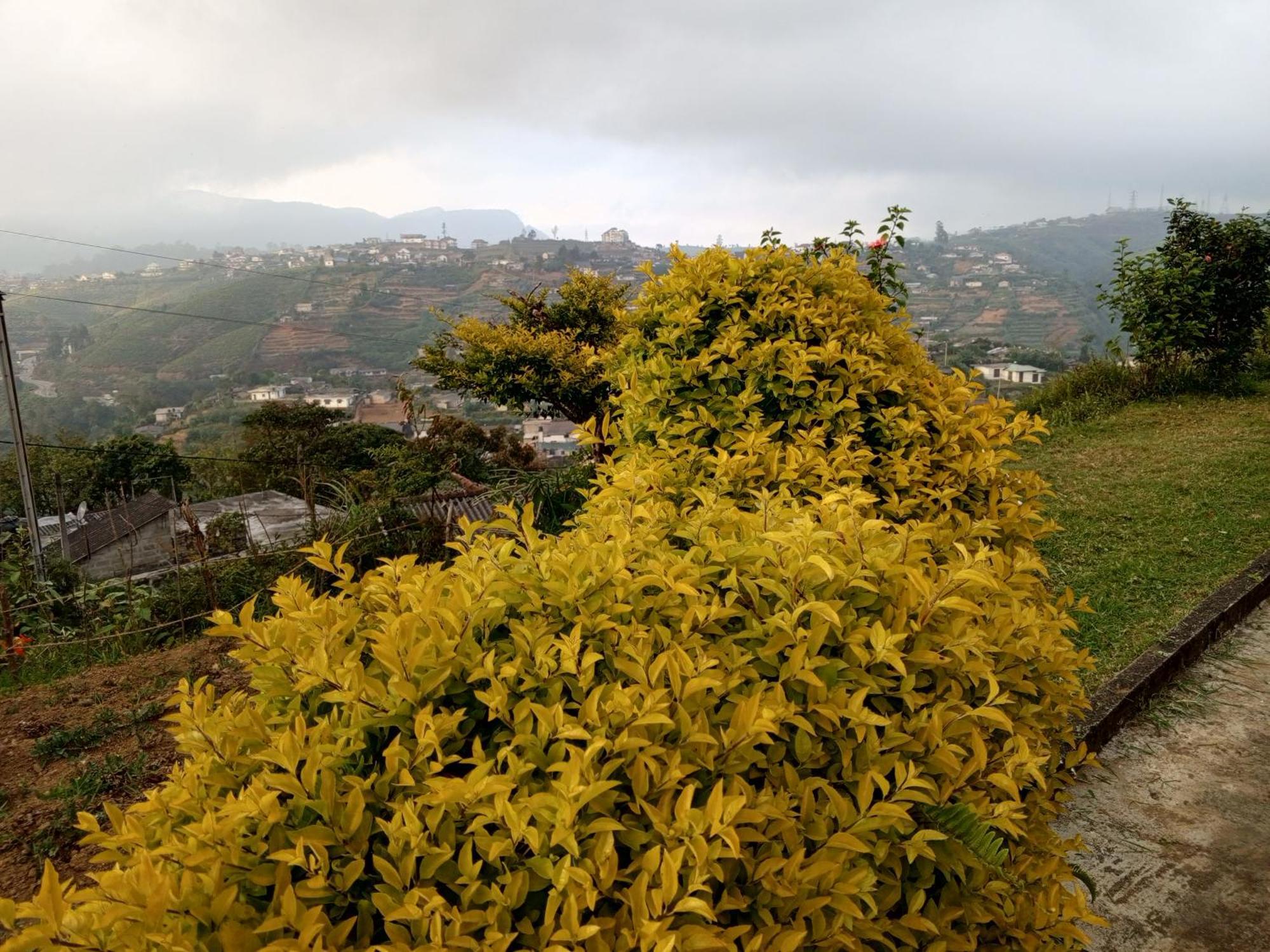 Mount View Cottage Nuwara Eliya Esterno foto